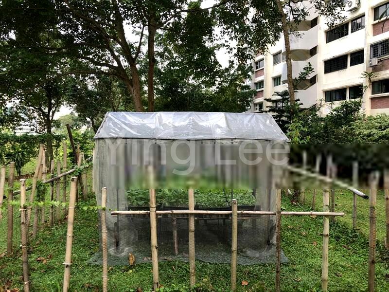3 Bed Apartment (Condo) for Sale in  Lakeview - Image 2